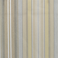 Apricot stripe