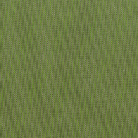 Cilantro